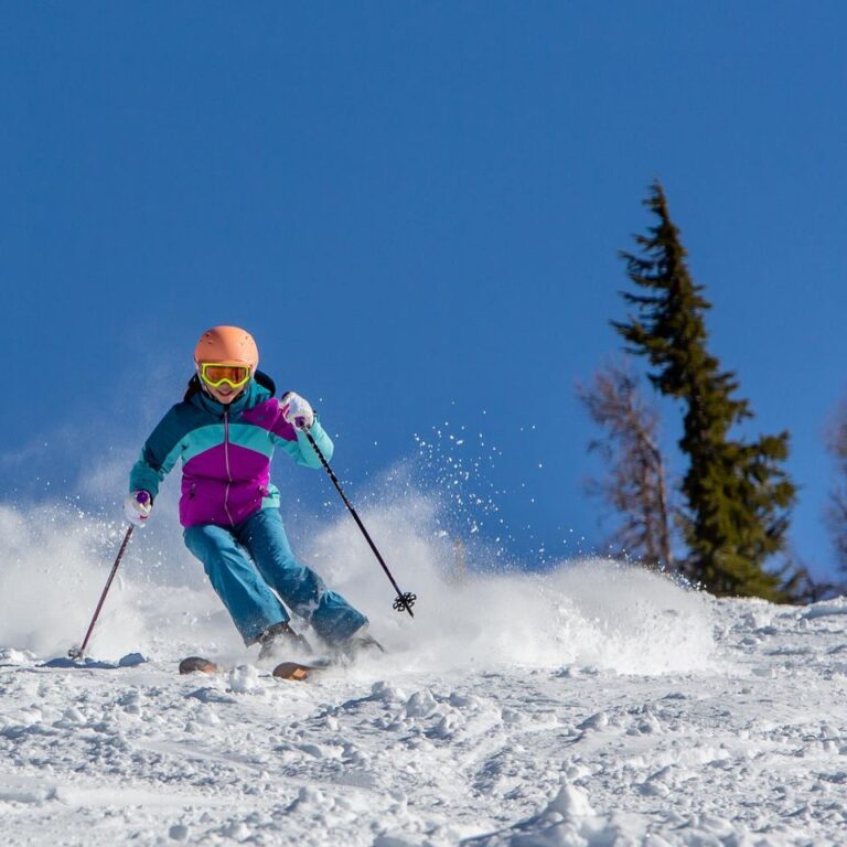 107670848 10158611169989539 380703523986883995 o 768x768