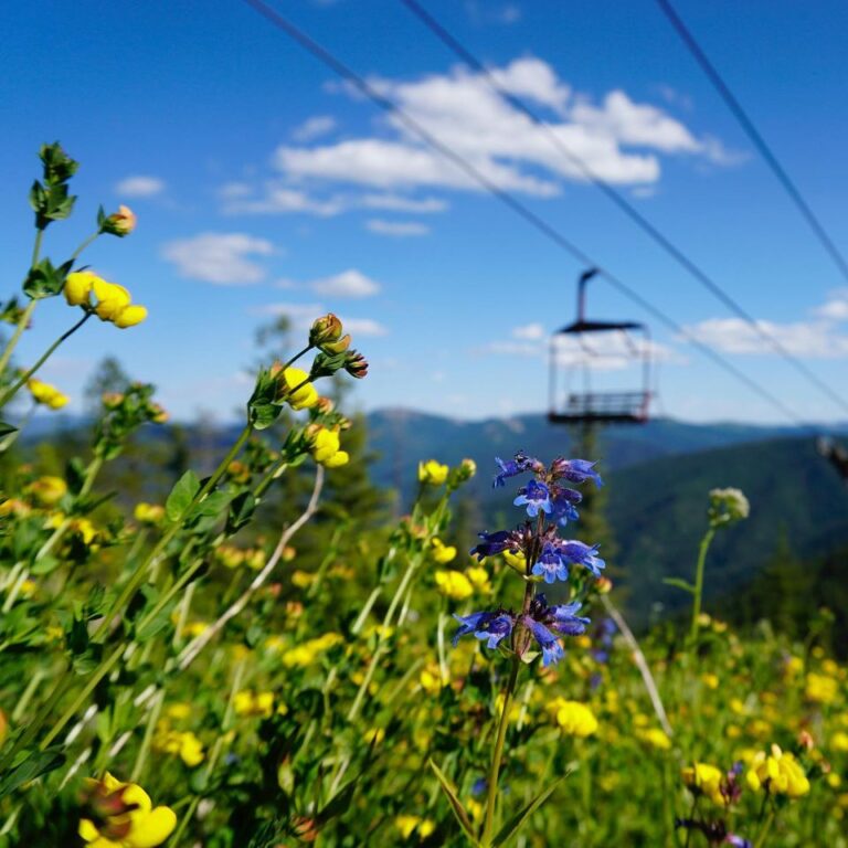 115739145 10158642572094539 5530145681329204004 o 768x768