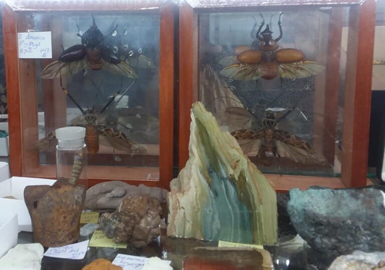 116119642 650933545772195 2472504831088737406 n 768x539