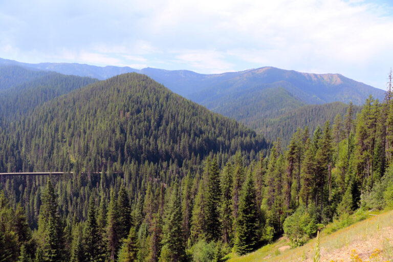 116203398 10156986056120881 8248750770476205503 o 768x512