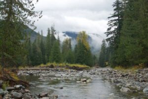 y*様 STABRIDGE FOREST SERVICE COLLECTION 116253023_1464497180400049_544