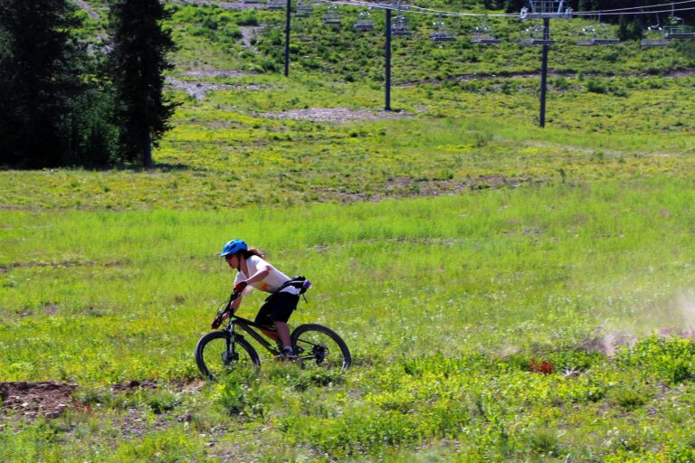 116336061 10157620714902684 7411306513237831125 o 768x512