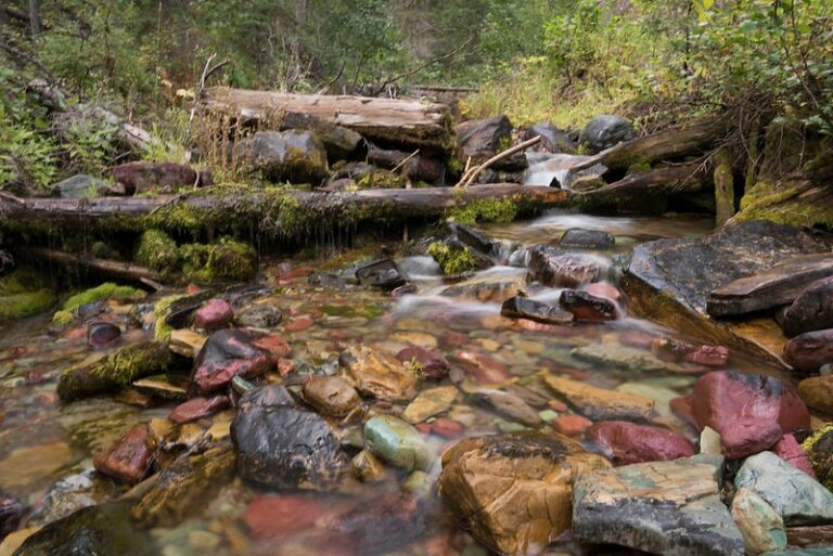 117108899 1470996743083426 1810237445993463045 n 768x513