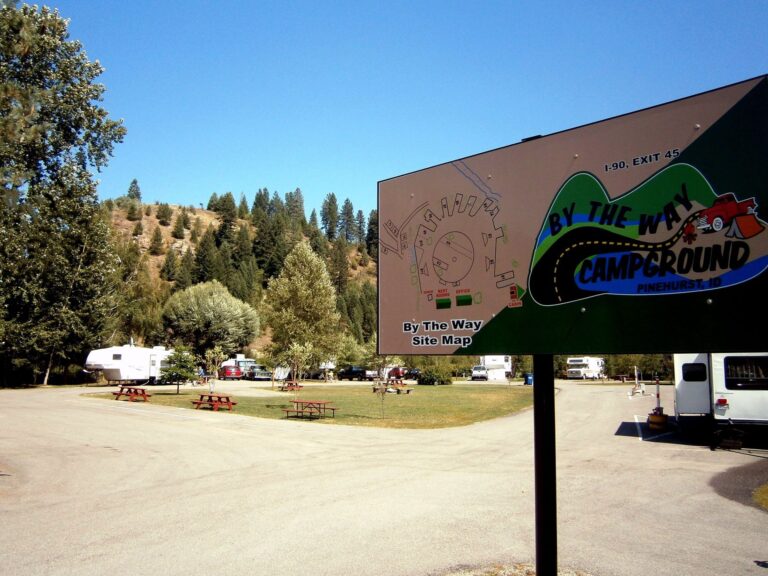 12006683 823823357736284 4178243339526415154 o 768x576