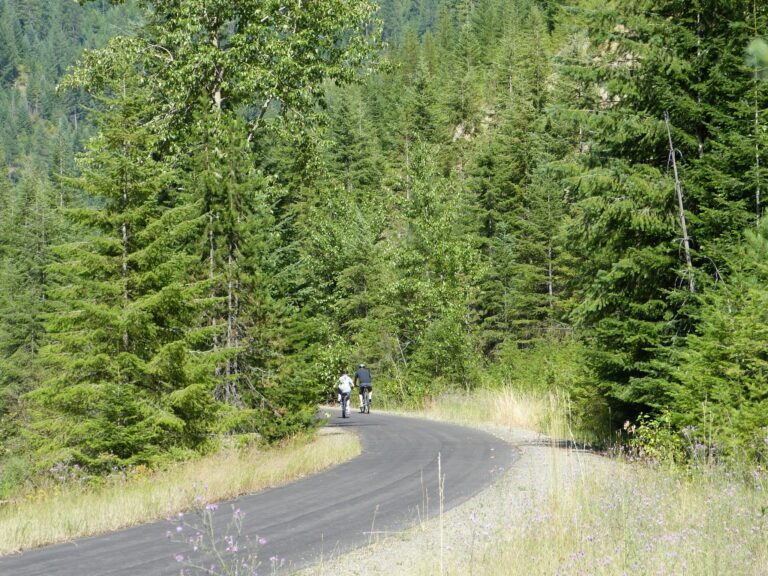 290718 256619437788137 417984605 o 768x576