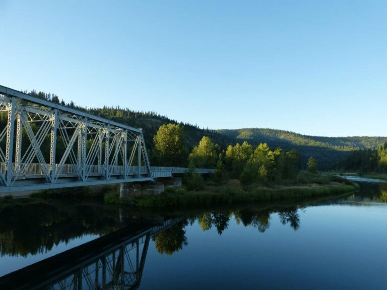 306401 253773724739375 680845211 n 768x576