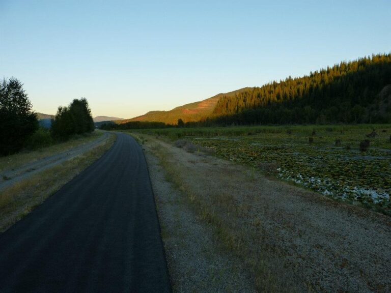 311515 253773958072685 1266007918 n 768x576