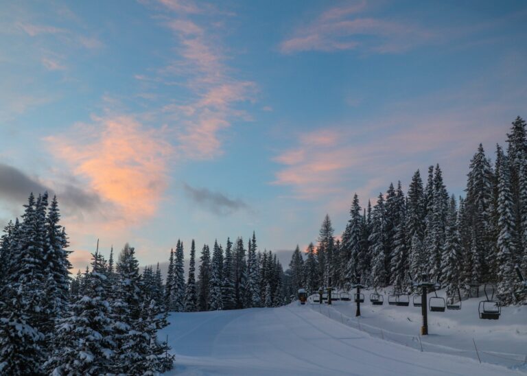 90598496 10157225723377684 3507266703320940544 o 768x548