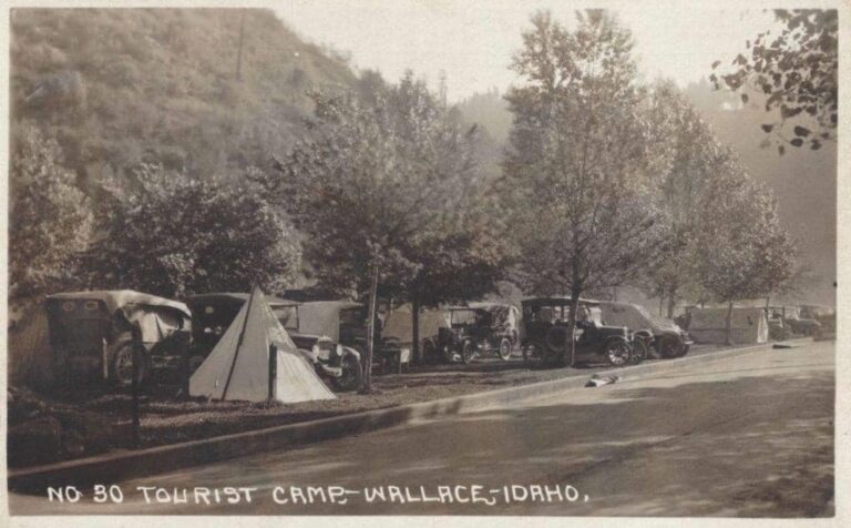 93351097 3092612214135631 496638475869618176 o 768x476