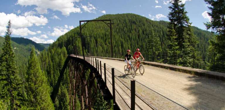 93418541 10156686194815881 1113874088608137216 o 768x377