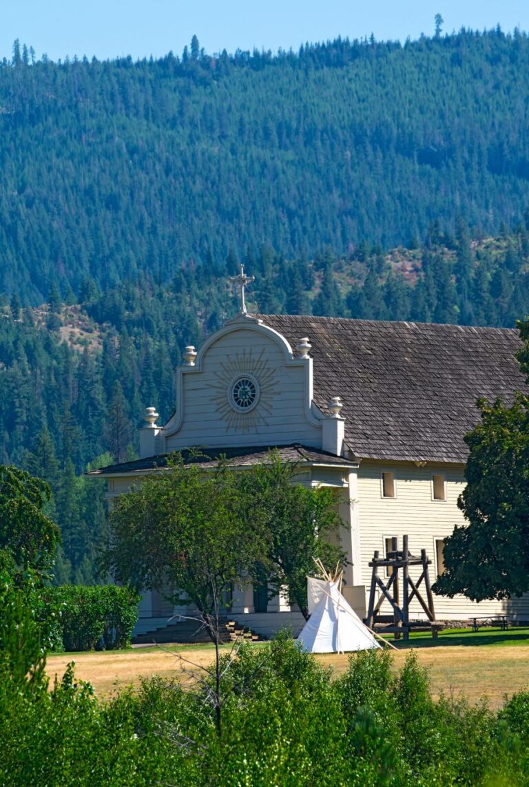 DSC0970 2500 768x1143