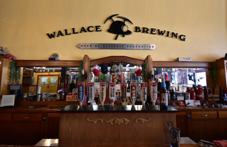 IMG 1442edit 768x498