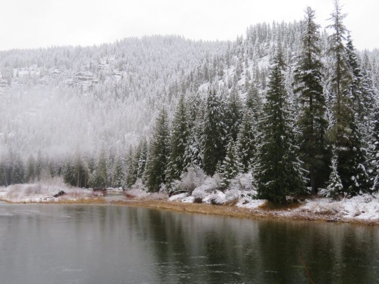 e8e1a437 e6db 4442 ae15 386d8eb7acee.f10 768x576