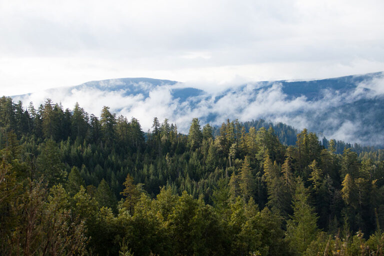 jene yeo bTwPIXVcn I unsplash 768x512