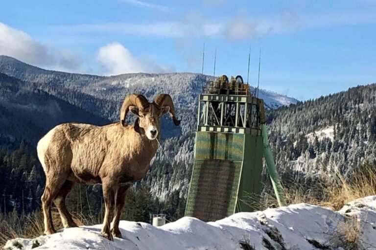 Hecla Lucky Friday Safeguarding the Environment@2x 1030x685 1 768x511