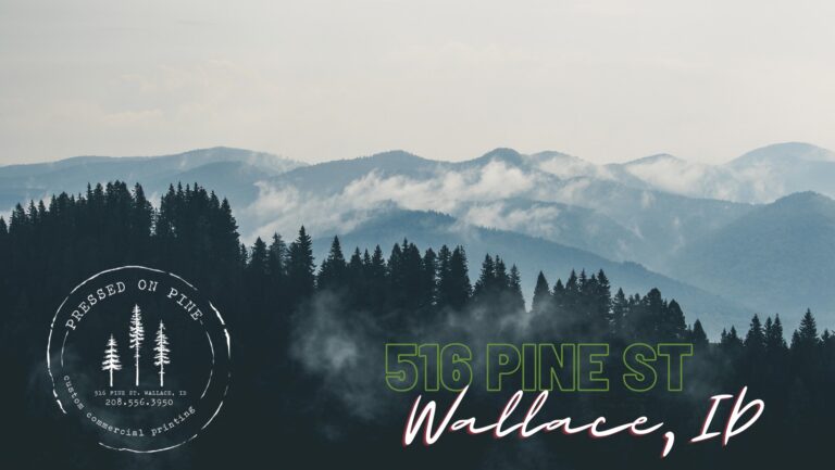 289338341 140022351971718 869433308388970085 n pressed on Pine 768x433