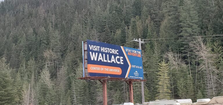 337287482 916658392870370 1055415278838753134 n 768x364