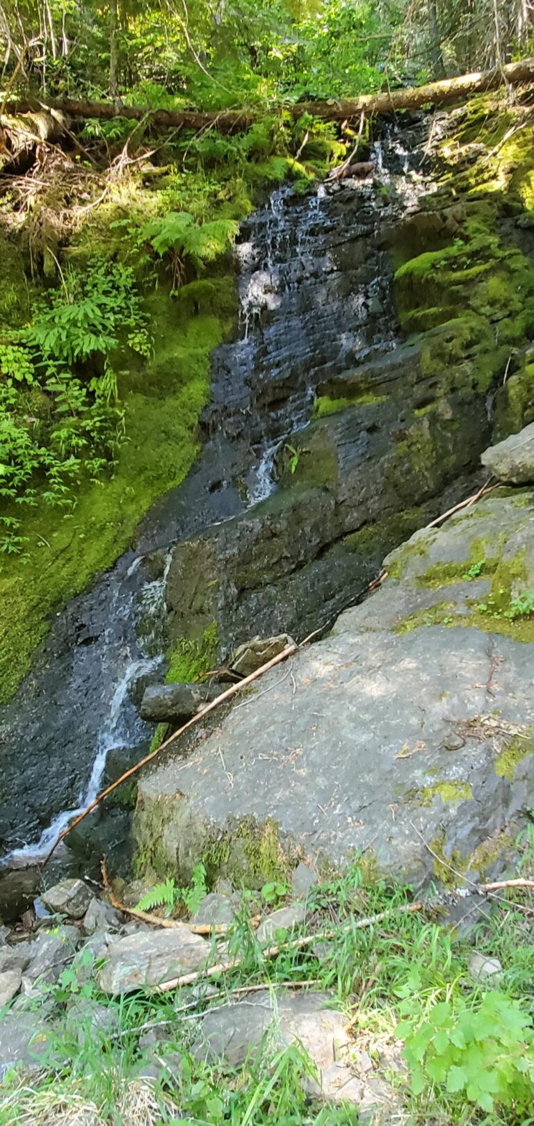 20220730 141825 1 768x1620