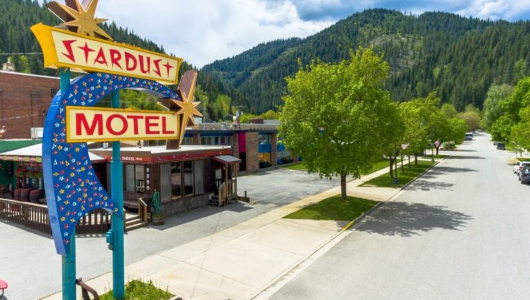 375315773 323858550213205 8382981970203794778 n 768x436