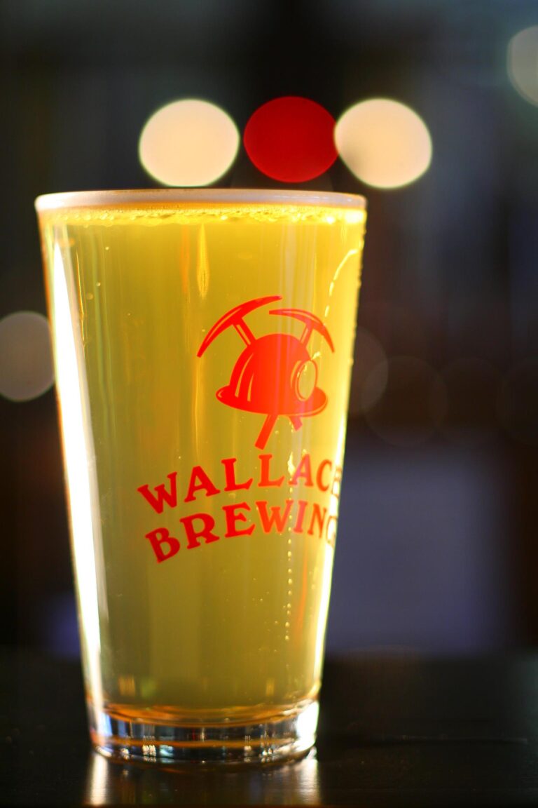 412600 219533021465447 2083839022 o 768x1152