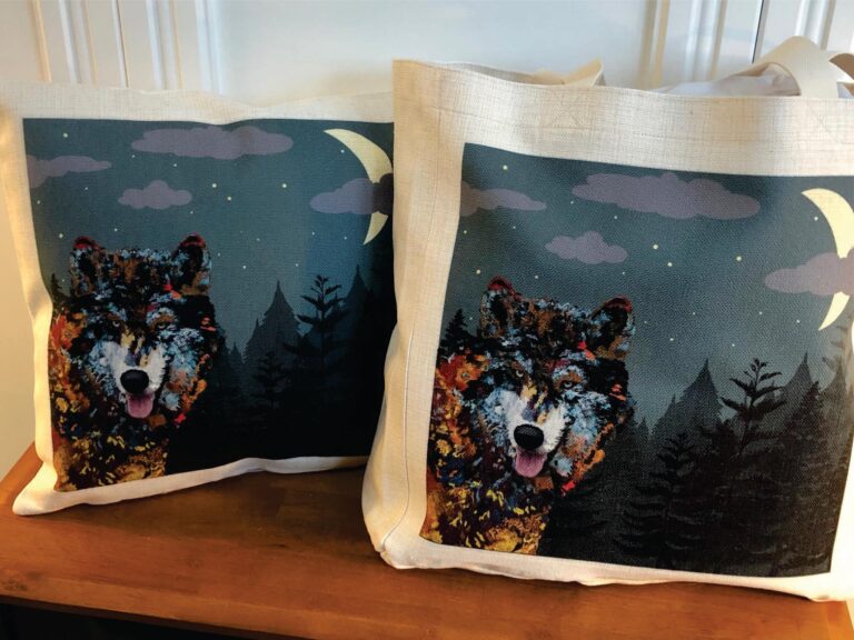 136361659 1861290810695637 8351440641587926062 n 768x576