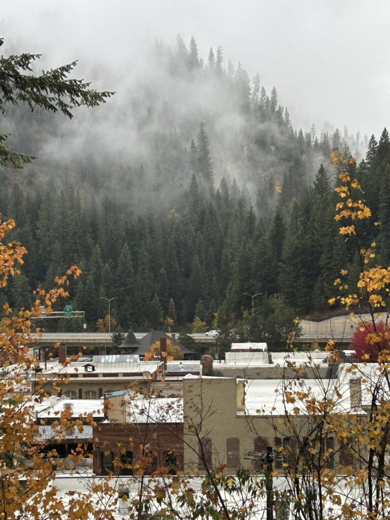 574566058 122093736765113262 3235919577651667947 n 768x1024