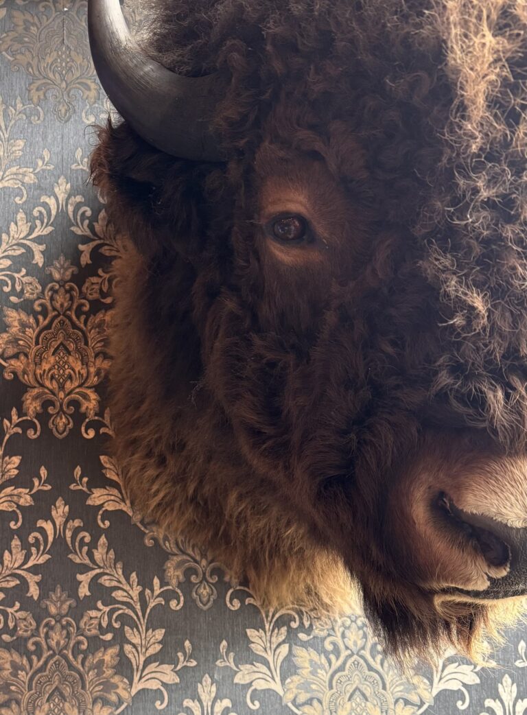 573431404 1444703690993759 2275338686364204620 n 768x1042