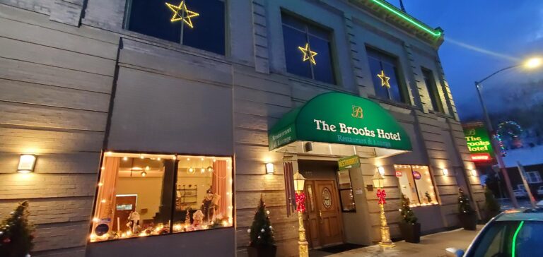 20231208 161527 768x364